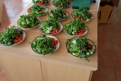 Wiederlader8