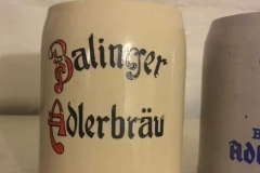 Lehnera18