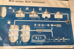 Lehnera4